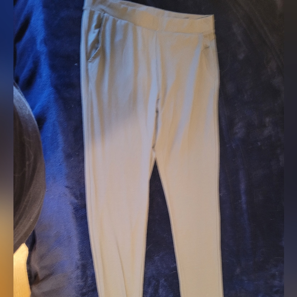 Grey pants size large with pockets